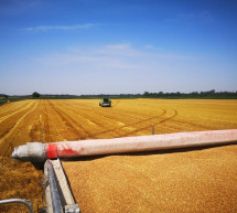 Pozitivna priča iz Janje: Završena žetva pšenice na vakufskim parcelama, prinos 47 tona